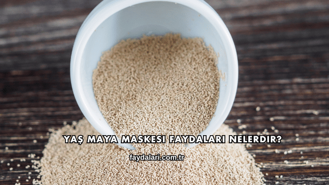 Yaş Maya Maskesi Faydaları Nelerdir?