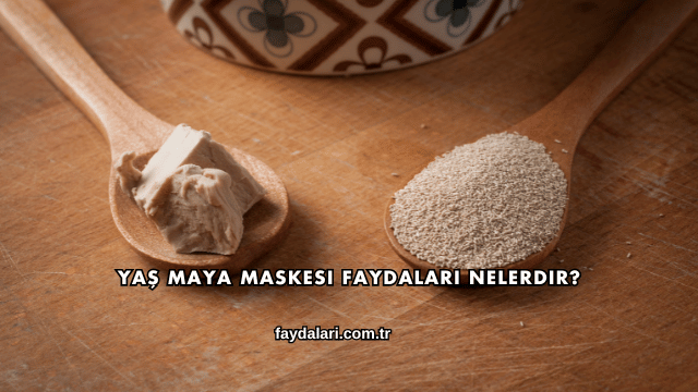 Yaş Maya Maskesi Faydaları Nelerdir?