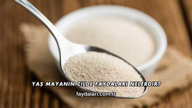 Yaş Mayanın Cilde Faydaları Nelerdir?