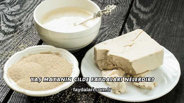 Yaş Mayanın Cilde Faydaları Nelerdir?