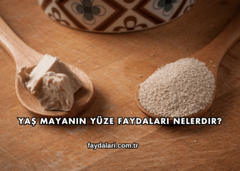 Yaş Mayanın Yüze Faydaları Nelerdir?