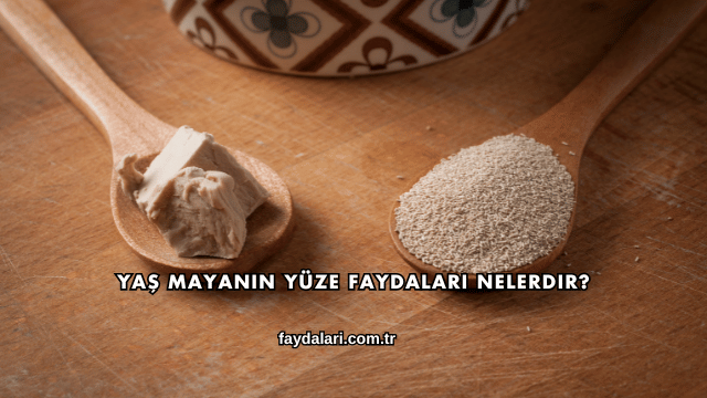 Yaş Mayanın Yüze Faydaları Nelerdir?
