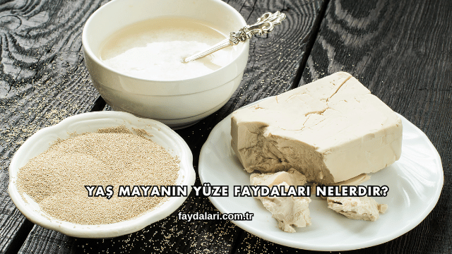 Yaş Mayanın Yüze Faydaları Nelerdir?
