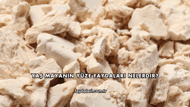 Yaş Mayanın Yüze Faydaları Nelerdir?