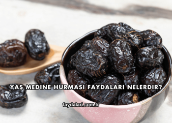 Yaş Medine Hurması Faydaları Nelerdir?