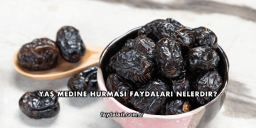 Yaş Medine Hurması Faydaları Nelerdir?