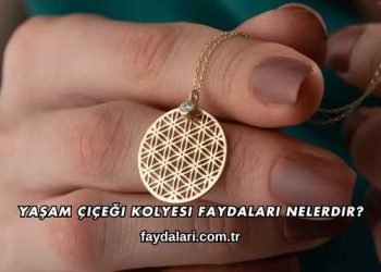Yaşam Çiçeği Kolyesi Faydaları Nelerdir?