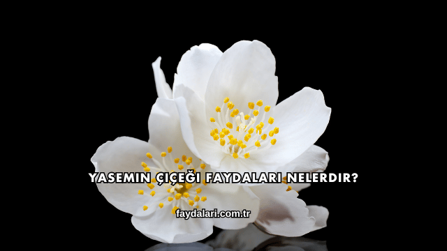Yasemin Çiçeği Faydaları Nelerdir?