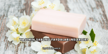 Yasemin Sabunu Faydaları Nelerdir?