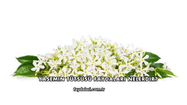 Yasemin Tütsüsü Faydaları Nelerdir?