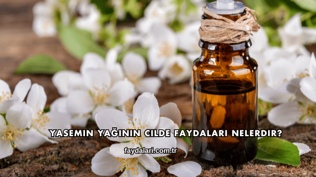 Yasemin Yağının Cilde Faydaları Nelerdir?