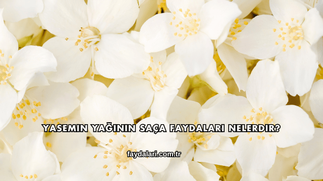 Yasemin Yağının Saça Faydaları Nelerdir?