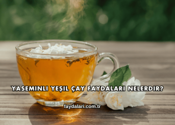 Yaseminli Yeşil Çay Faydaları Nelerdir?