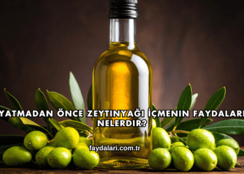 Yatmadan Önce Zeytinyağı İçmenin Faydaları Nelerdir?