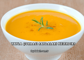 Yayla Çorbası Faydaları Nelerdir?
