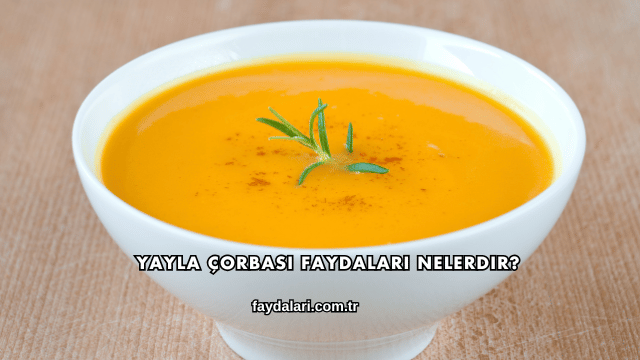 Yayla Çorbası Faydaları Nelerdir?