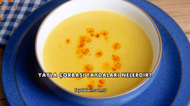 Yayla Çorbası Faydaları Nelerdir?