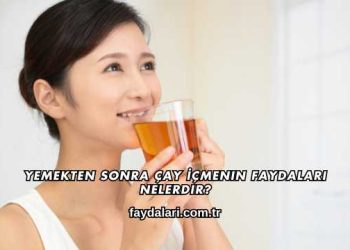 Yemekten Sonra Çay İçmenin Faydaları Nelerdir?