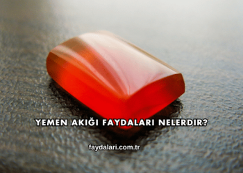 Yemen Akiği Faydaları Nelerdir?
