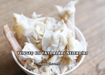 Yengeç Eti Faydaları Nelerdir?