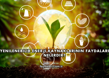 Yenilenebilir Enerji Kaynaklarının Faydaları Nelerdir?