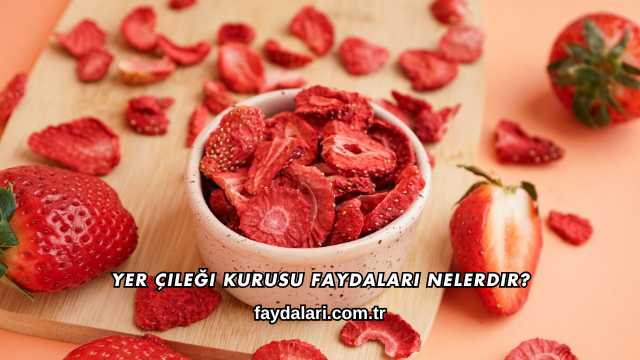 Yer Çileği Kurusu Faydaları Nelerdir?