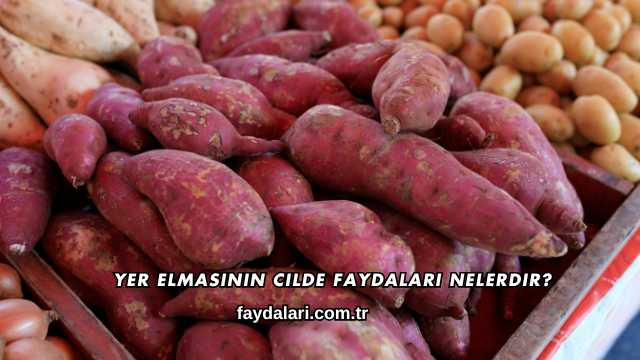 Yer Elmasının Cilde Faydaları Nelerdir?