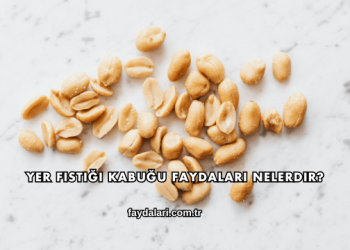 Yer Fıstığı Kabuğu Faydaları Nelerdir?