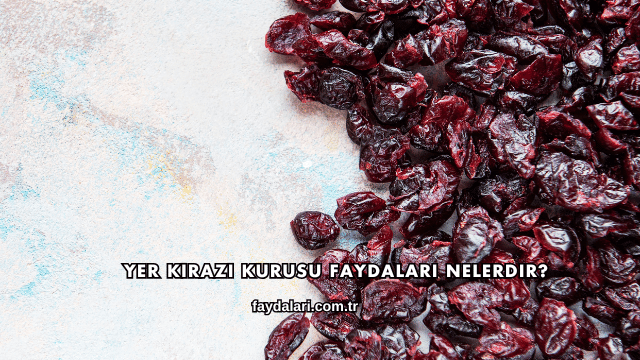 Yer Kirazı Kurusu Faydaları Nelerdir?