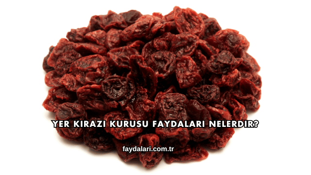 Yer Kirazı Kurusu Faydaları Nelerdir?
