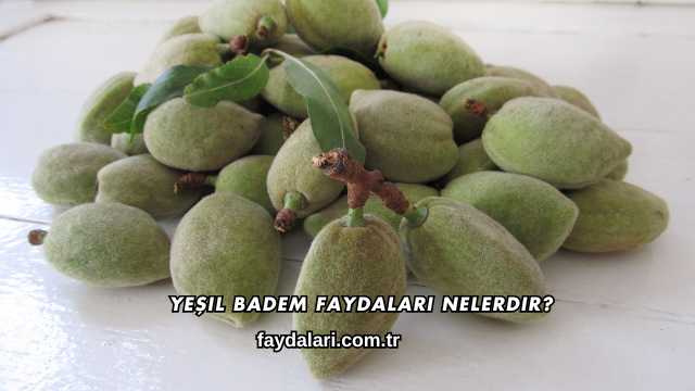 Yeşil Badem Faydaları Nelerdir?
