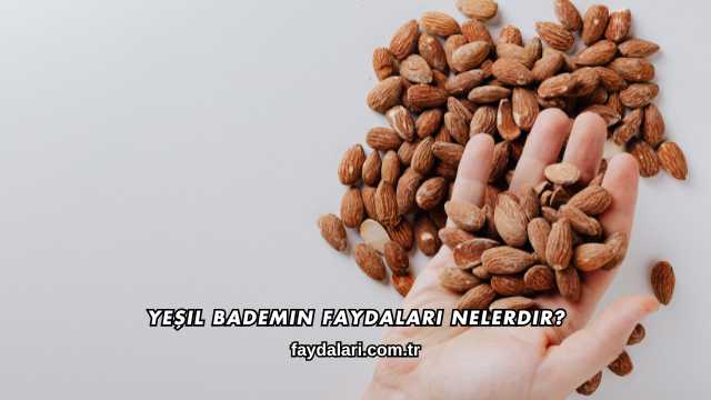 Yeşil Bademin Faydaları Nelerdir?