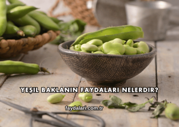 Yeşil Baklanın Faydaları Nelerdir?