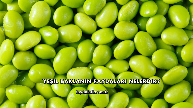 Yeşil Baklanın Faydaları Nelerdir?