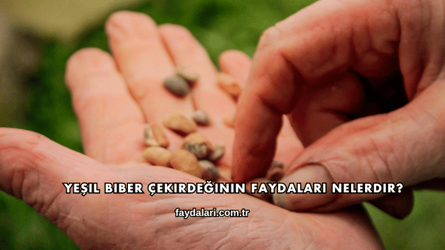 Yeşil Biber Çekirdeğinin Faydaları Nelerdir?