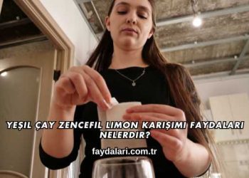 Yeşil Çay Zencefil Limon Karışımı Faydaları Nelerdir?