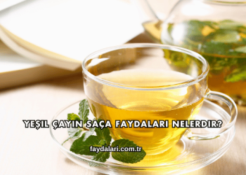 Yeşil Çayın Saça Faydaları Nelerdir?