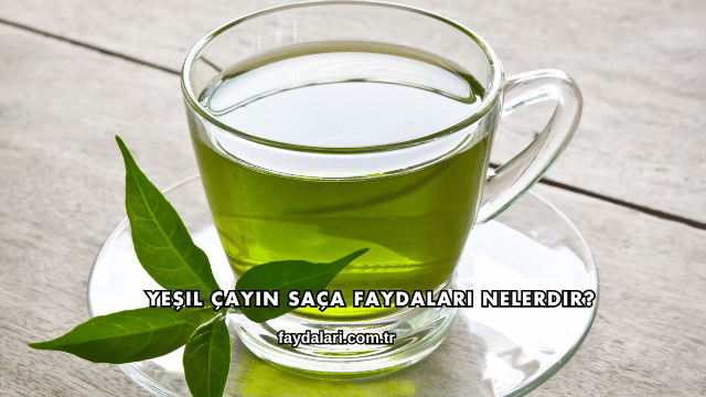 Yeşil Çayın Saça Faydaları Nelerdir?