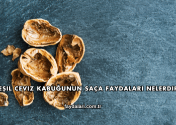 Yeşil Ceviz Kabuğunun Saça Faydaları Nelerdir?