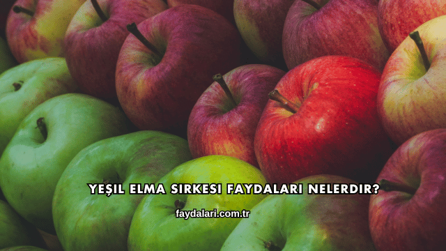 Yeşil Elma Sirkesi Faydaları Nelerdir?