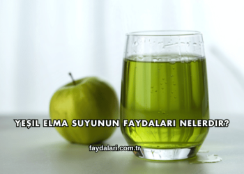 Yeşil Elma Suyunun Faydaları Nelerdir?