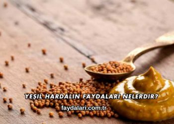 Yeşil Hardalın Faydaları Nelerdir?
