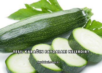 Yeşil Kabağın Faydaları Nelerdir?
