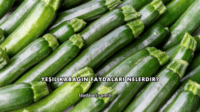 Yeşil Kabağın Faydaları Nelerdir?