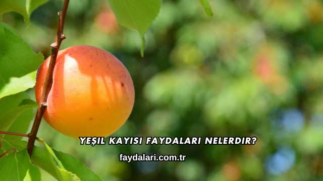 Yeşil Kayısı Faydaları Nelerdir?