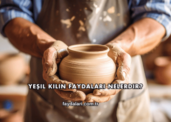 Yeşil Kilin Faydaları Nelerdir?