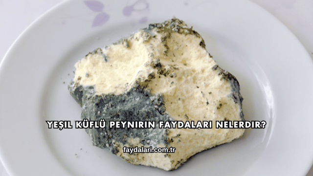 Yeşil Küflü Peynirin Faydaları Nelerdir?