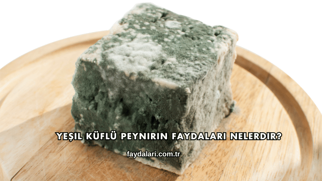 Yeşil Küflü Peynirin Faydaları Nelerdir?