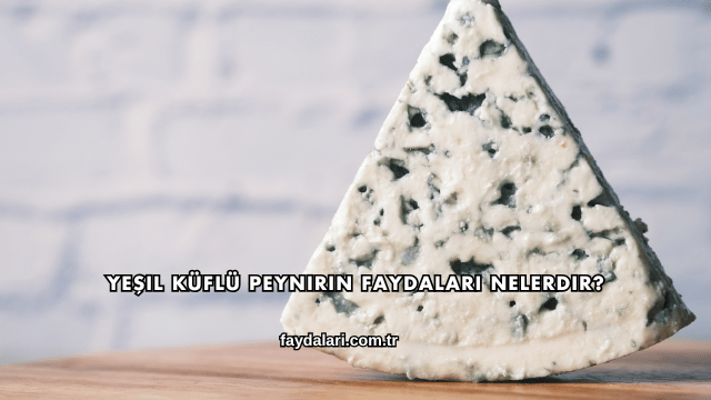 Yeşil Küflü Peynirin Faydaları Nelerdir?
