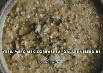 Yeşil Mercimek Çorbası Faydaları Nelerdir?
